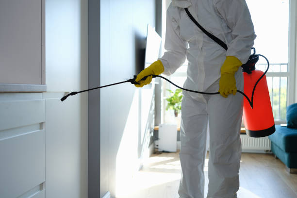 Best Residential Mold Remediation in Ingram, TX