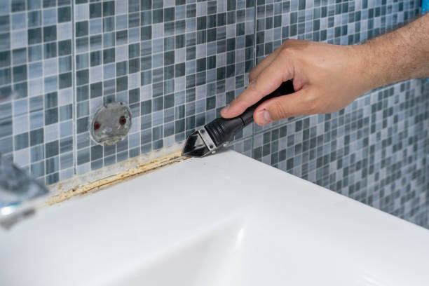 Best Residential Mold Remediation in Ingram, TX